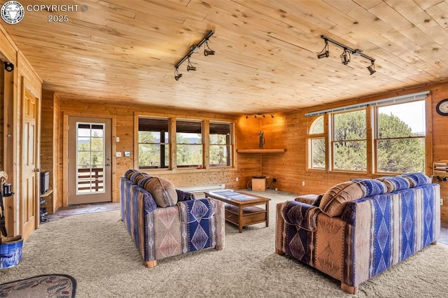 5131 County Road 634, Gardner, CO 81040 - photo 10
