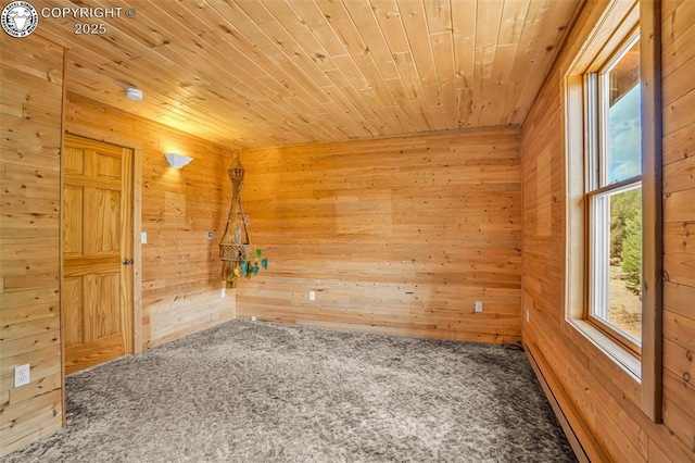 5131 County Road 634, Gardner, CO 81040 - photo 21