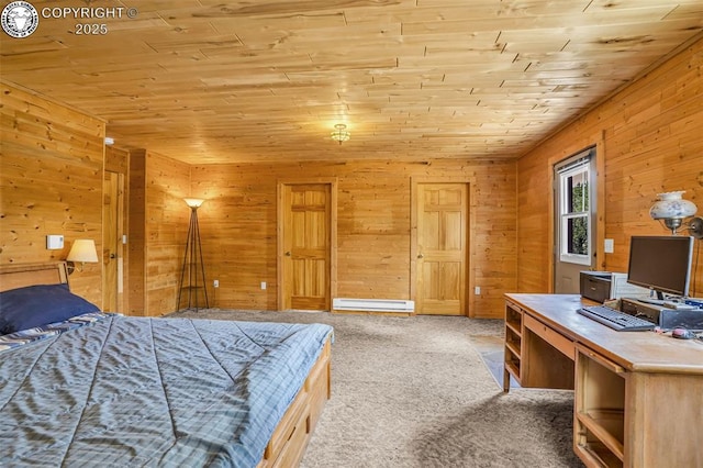 5131 County Road 634, Gardner, CO 81040 - photo 27