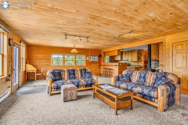 5131 County Road 634, Gardner, CO 81040 - photo 11