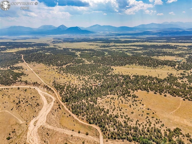 5131 County Road 634, Gardner, CO 81040 - photo 50