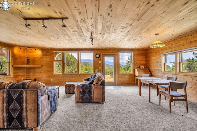 5131 County Road 634, Gardner, CO 81040 - photo 12