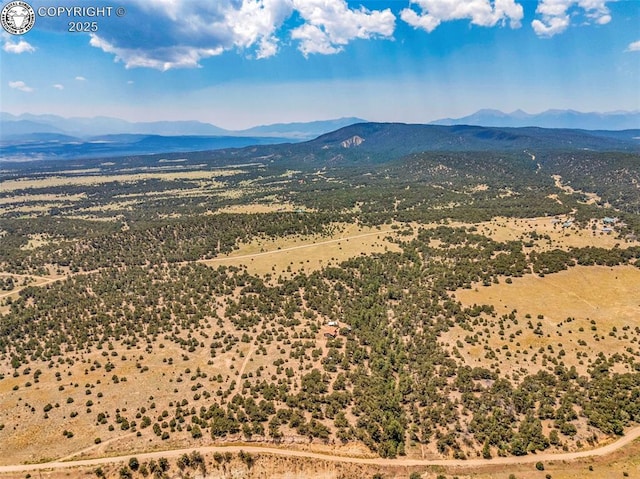 5131 County Road 634, Gardner, CO 81040 - photo 49