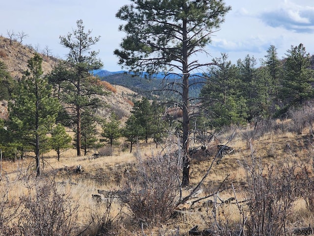 839 Shannon Trl, Cotopaxi CO, 81212 land for sale