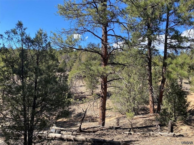 Listing photo 3 for 00 10th Trl, Cotopaxi CO 81223