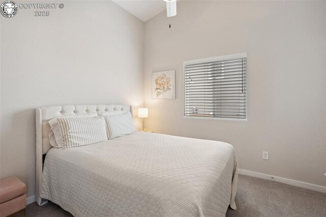 16840 New Autumn Dr, Monument, CO 80132 - carpeted bedroom with baseboards and lofted ceiling