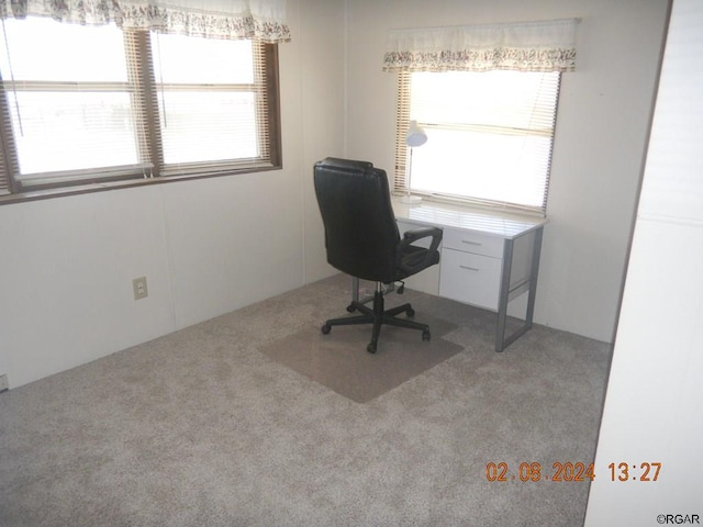 unfurnished office featuring carpet