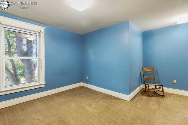 811 Beech Ave, Canon City, CO 81212 - photo 25