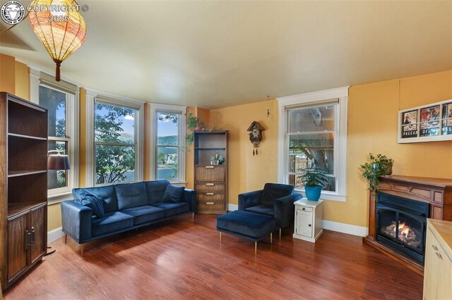 811 Beech Ave, Canon City, CO 81212 - photo 9