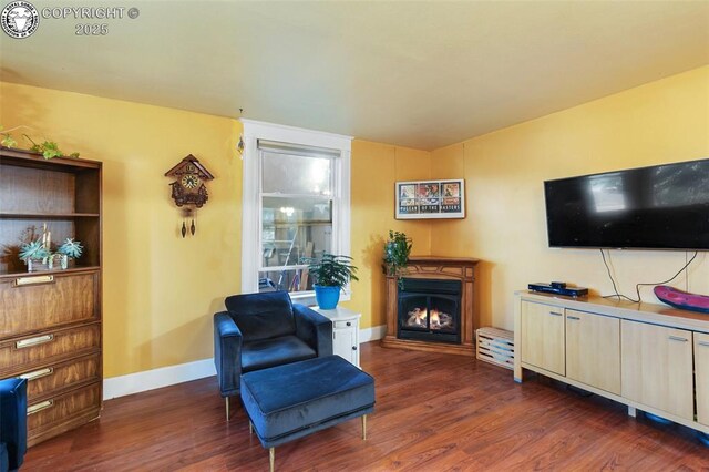 811 Beech Ave, Canon City, CO 81212 - photo 7