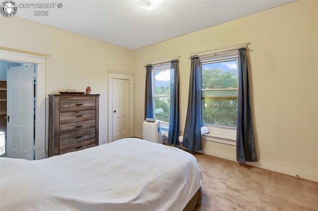 811 Beech Ave, Canon City, CO 81212 - photo 18