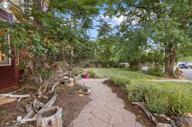 811 Beech Ave, Canon City, CO 81212 - photo 36