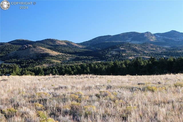 Listing photo 2 for 2587 Sangre Dr, Westcliffe CO 81252