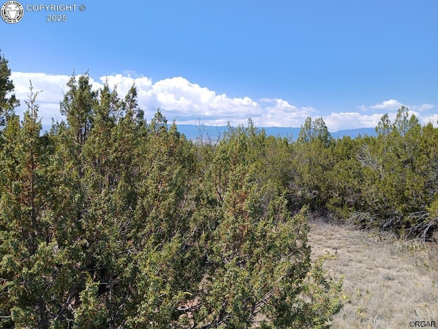 350 3rd St, Penrose, CO 81240 - photo 15