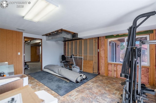 46 Wild Rose Dr, Canon City, CO 81212 - workout room featuring wooden walls