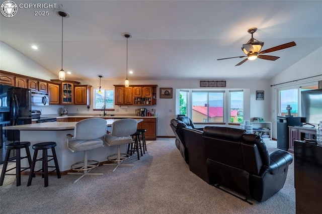 46 Wild Rose Dr, Canon City, CO 81212 - kitchen with appliances with stainless steel finishes, lofted ceiling, brown cabinets, open floor plan, and light countertops