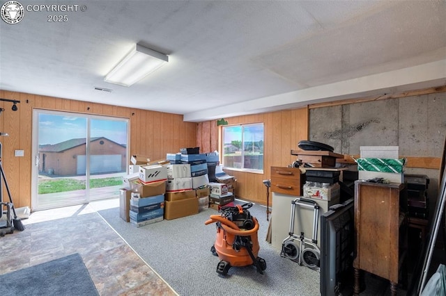 46 Wild Rose Dr, Canon City, CO 81212 - below grade area with plenty of natural light and wood walls