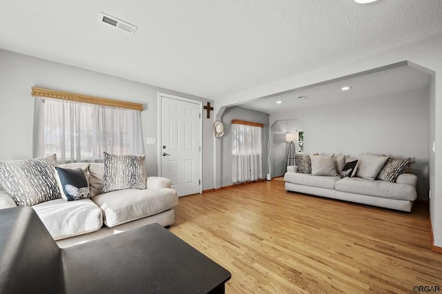 living room featuring wood-type flooring