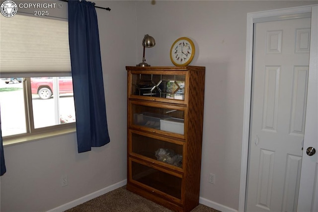 113 Rio Grande Dr, Canon City, CO 81212 - detailed view of carpet and baseboards