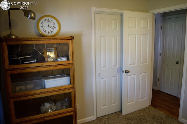 113 Rio Grande Dr, Canon City, CO 81212 - detailed view of carpet floors