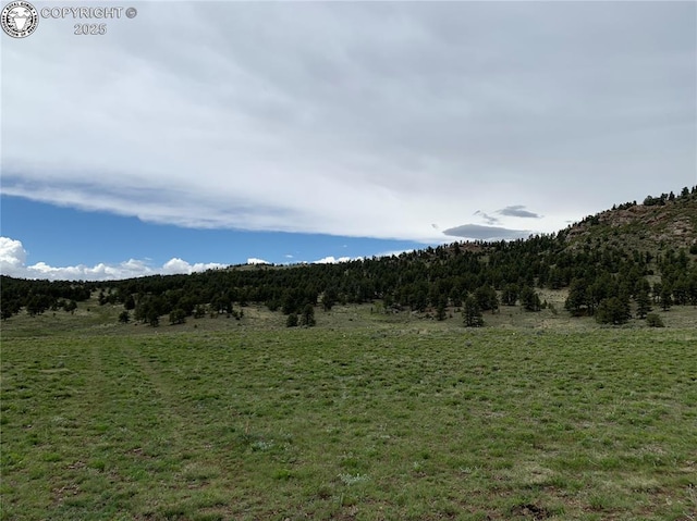 Listing photo 2 for LOT38 Eagle Valley Rd, Westcliffe CO 81252