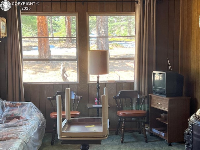 sitting room featuring a healthy amount of sunlight and wood walls