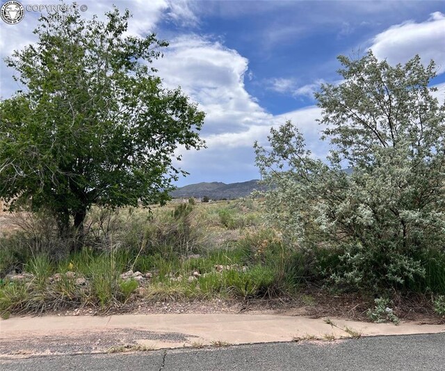 424 Empire Rd, Canon City, CO 81212 - photo 4
