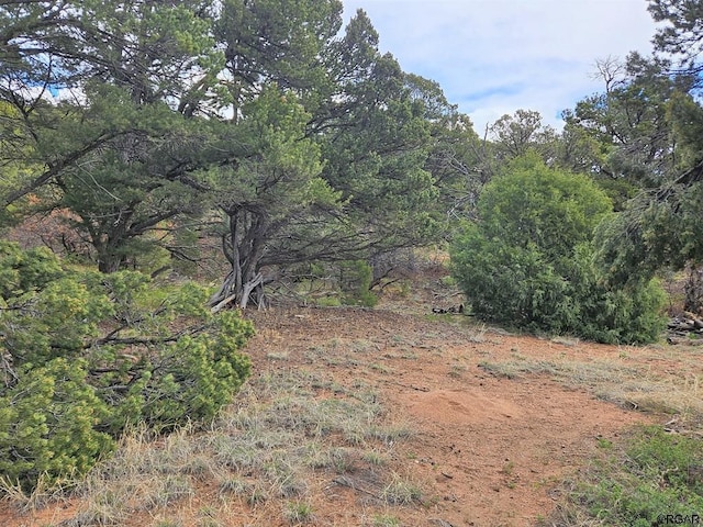 Listing photo 3 for TBD Wild Turkey Trail, Canon City CO 81212