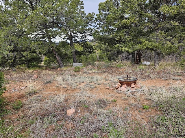 Listing photo 2 for TBD Wild Turkey Trail, Canon City CO 81212