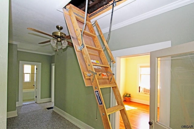 unfurnished bedroom featuring ceiling fan and ornamental molding