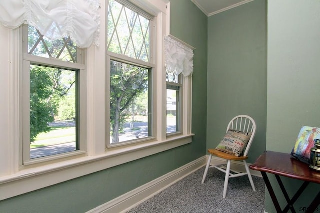 sitting room with crown molding and carpet flooring