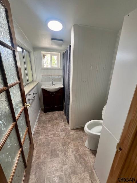 bathroom with vanity and toilet