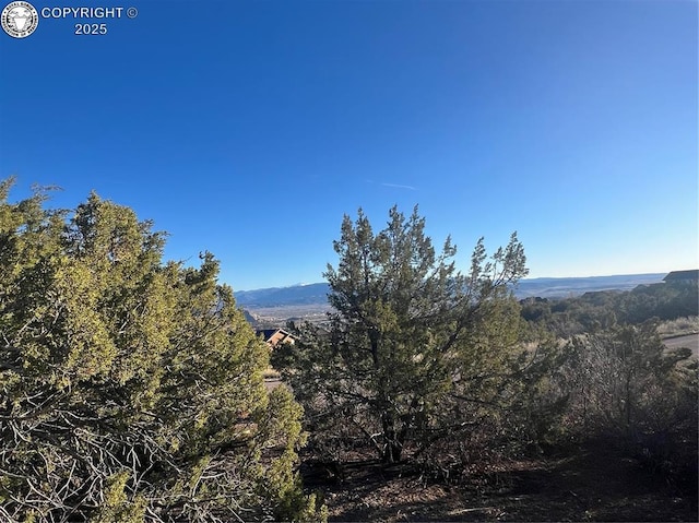 410/414 Storm Ridge Dr, Canon City, CO 81212 - photo 5