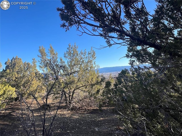 410/414 Storm Ridge Dr, Canon City, CO 81212 - photo 4