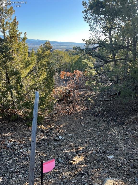 410/414 Storm Ridge Dr, Canon City, CO 81212 - photo 9