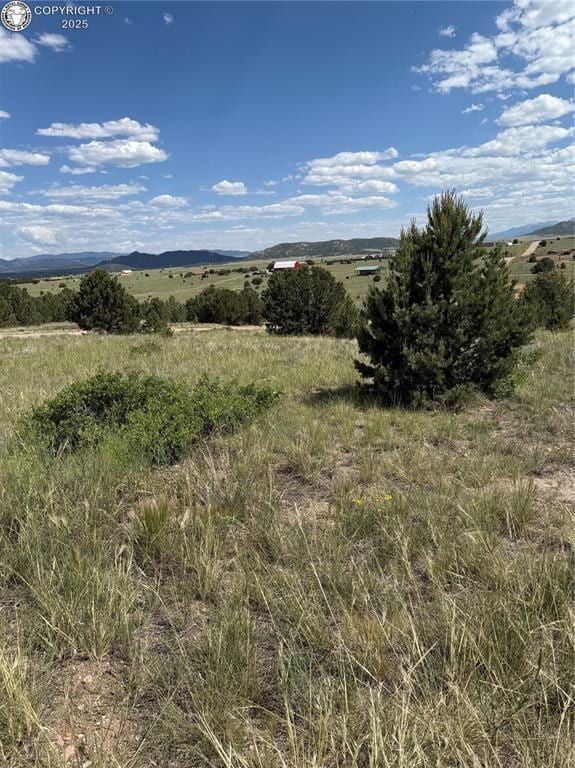 1739 17th Trl, Cotopaxi, CO 81223