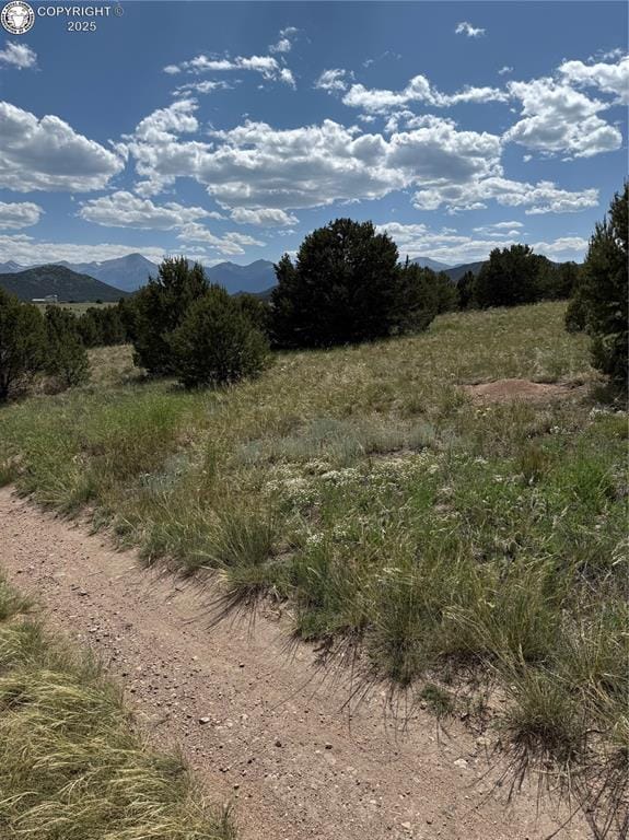 1739 17th Trl, Cotopaxi, CO 81223