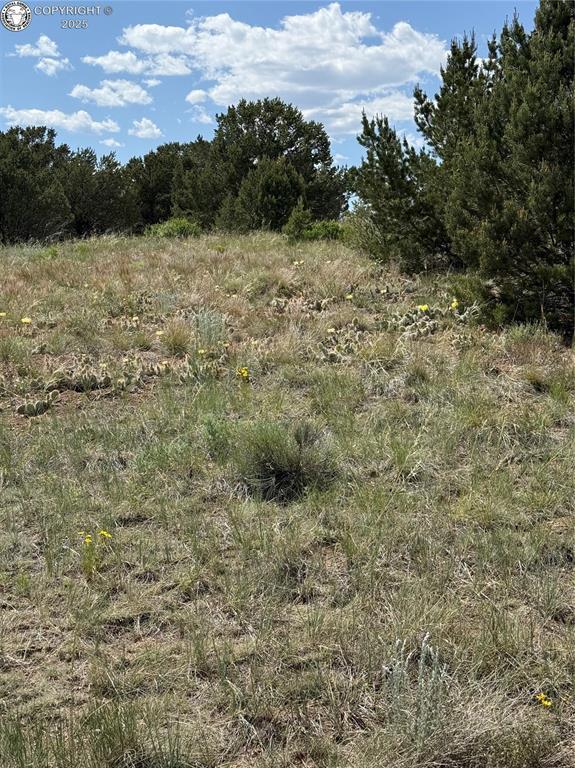 1739 17th Trl, Cotopaxi, CO 81223