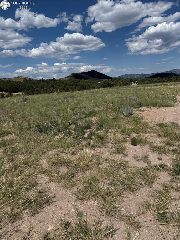 1739 17th Trl, Cotopaxi, CO 81223