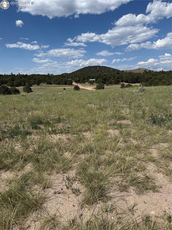 1739 17th Trl, Cotopaxi, CO 81223
