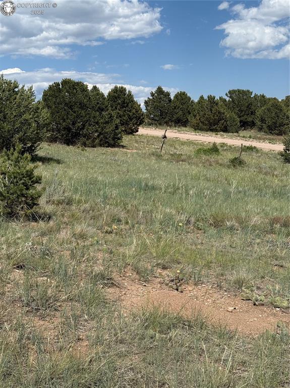 1739 17th Trl, Cotopaxi, CO 81223