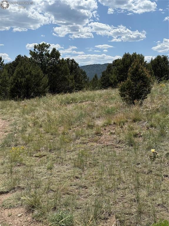 1739 17th Trl, Cotopaxi, CO 81223