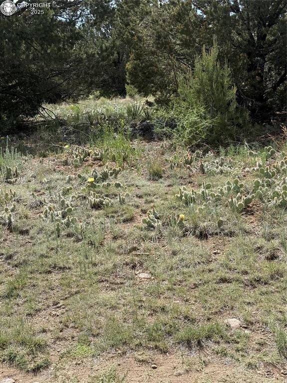 1739 17th Trl, Cotopaxi, CO 81223