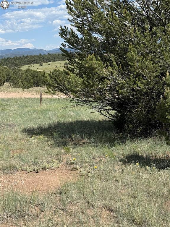 1739 17th Trl, Cotopaxi, CO 81223