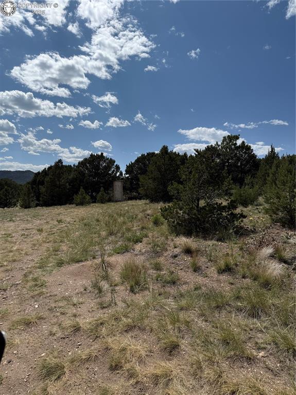 1739 17th Trl, Cotopaxi, CO 81223