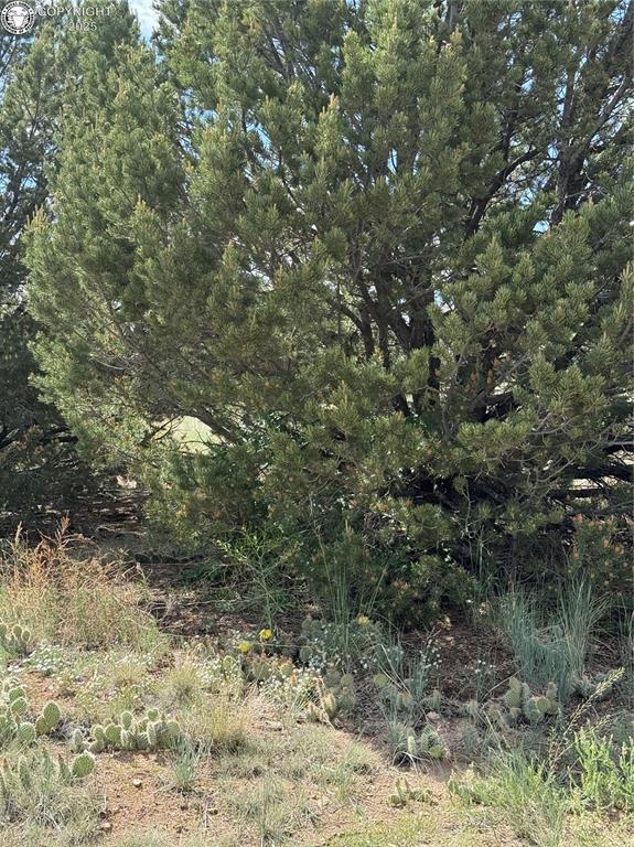 1739 17th Trl, Cotopaxi, CO 81223