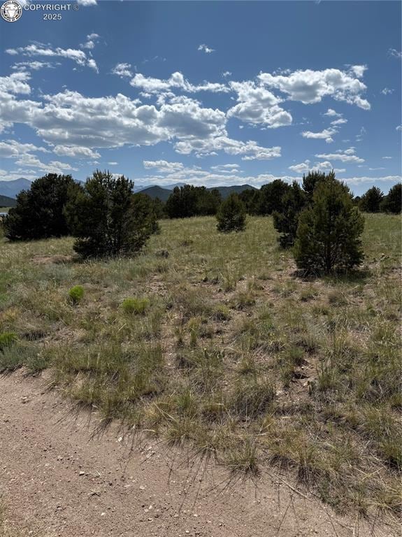 1739 17th Trl, Cotopaxi, CO 81223