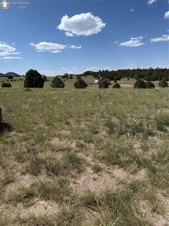 1739 17th Trl, Cotopaxi, CO 81223
