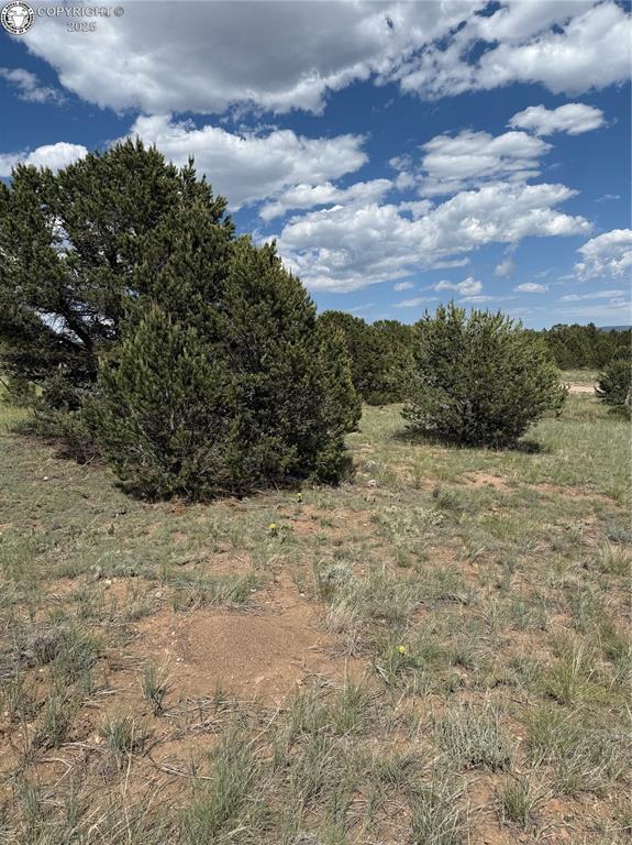 1739 17th Trl, Cotopaxi, CO 81223