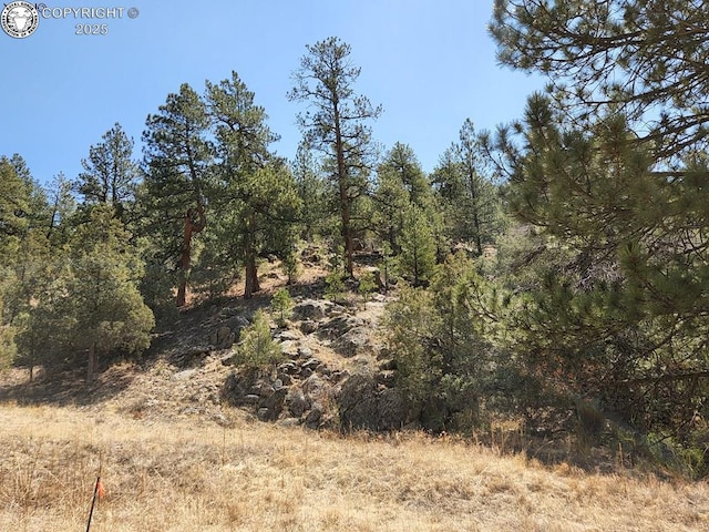 1314 Arnold Dr, Texas Creek, CO 81223